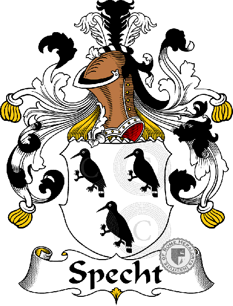 Coat of arms of family Specht