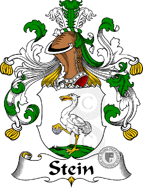 Escudo de la familia Stein   ref: 31877