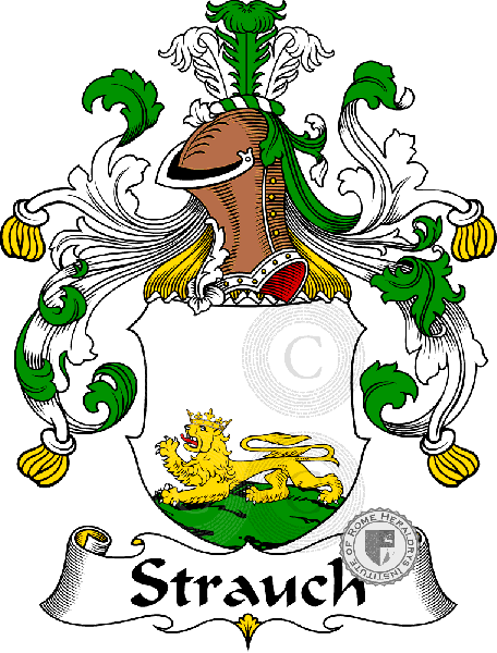 Wappen der Familie Strauch   ref: 31913
