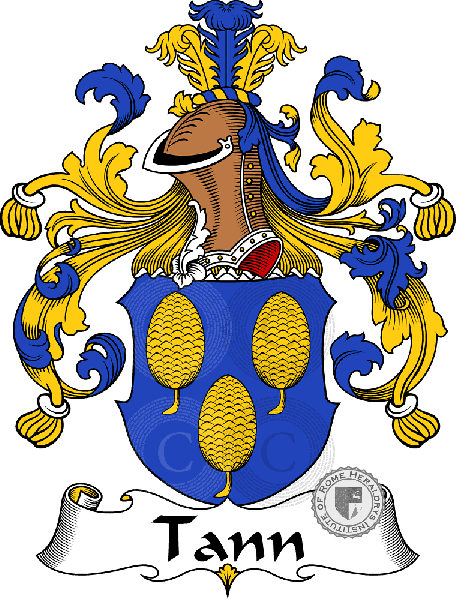 Coat of arms of family Tann