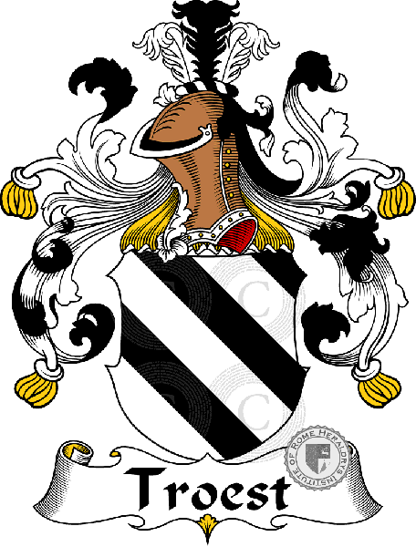 Coat of arms of family Troest   ref: 31966