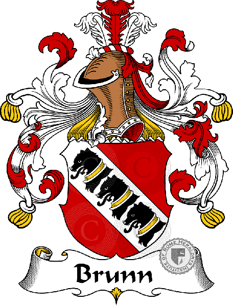 Coat of arms of family Brunn   ref: 32094