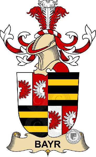 Escudo de la familia Bayr de Dürnbach   ref: 32176