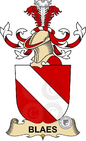 Wappen der Familie Blaes