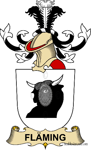 Escudo de la familia Fläming   ref: 32338