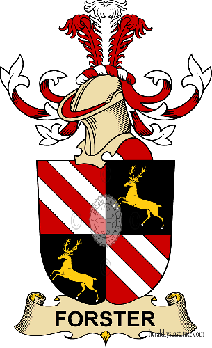 Coat of arms of family Forster (de Philippsberg)   ref: 32341