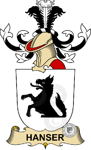 Coat of arms of family Hanser