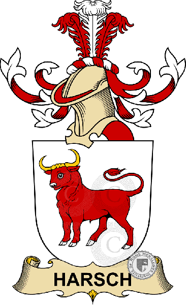 Coat of arms of family Harsch   ref: 32412