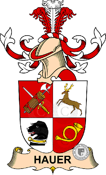 Coat of arms of family Hauer   ref: 32417