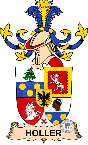 Wappen der Familie Holler   ref: 32467