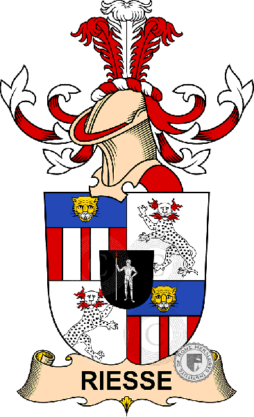 Wappen der Familie Riesse   ref: 32735