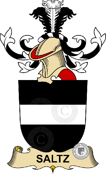 Wappen der Familie Saltz   ref: 32764