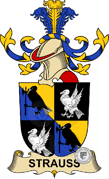 Coat of arms of family Strauss   ref: 32842