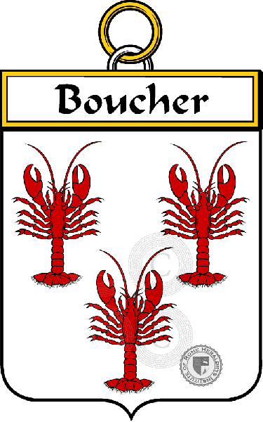 Coat of arms of family Boucher