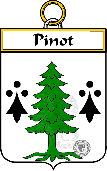 Coat of arms of family Pinot