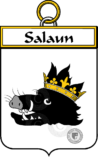 Brasão da família Salaun