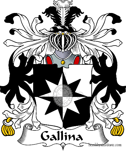 Coat of arms of family Gallina   ref: 35373