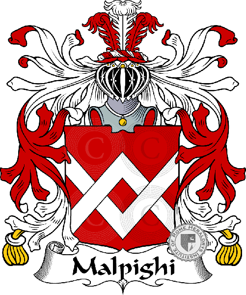 Brasão da família Malpighi