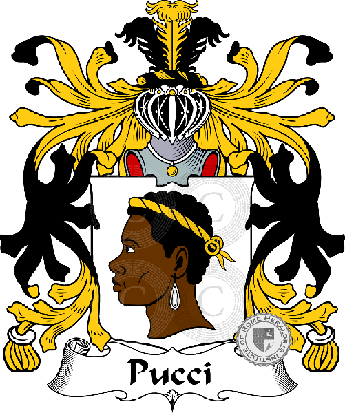 Coat of arms of family Pucci
