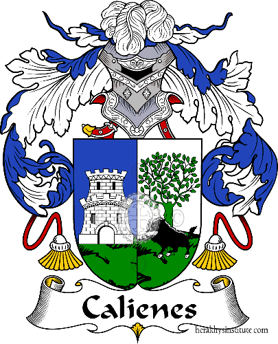 Coat of arms of family Calienes