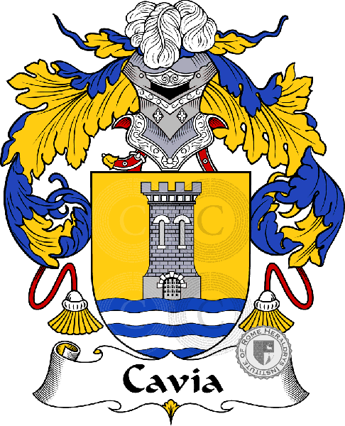 Coat of arms of family Cavia
