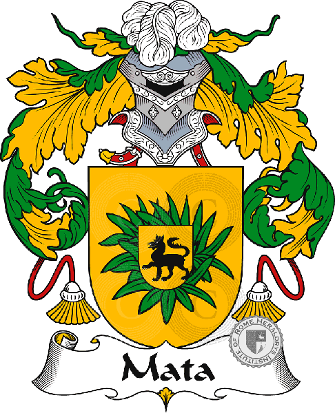 Coat of arms of family Mata