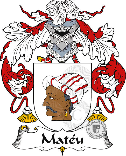 Coat of arms of family Matéu