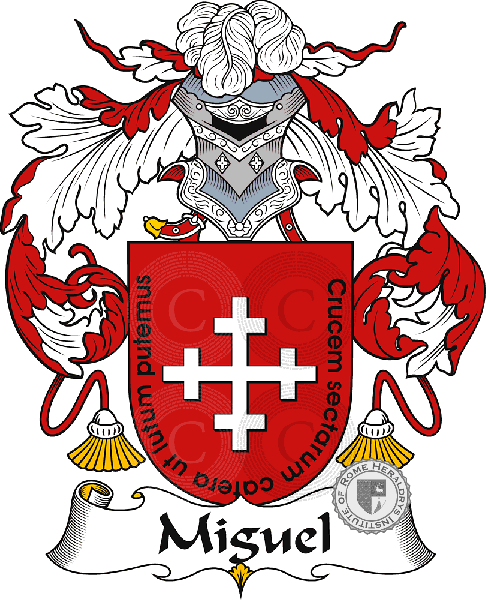 Escudo de la familia Miguel   ref: 37224