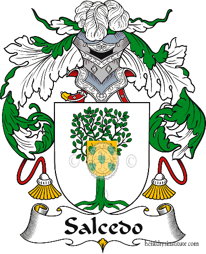 Coat of arms of family Salcedo