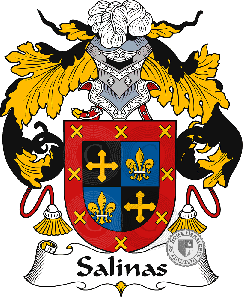 Coat of arms of family Salinas