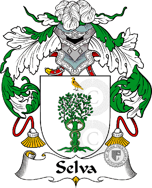 Wappen der Familie Selva