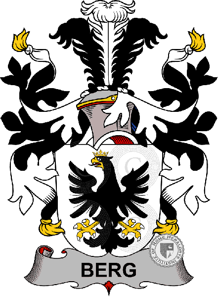 Coat of arms of family Berg