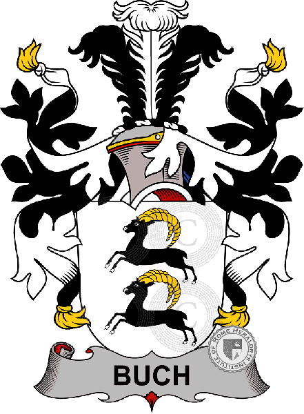 Wappen der Familie Buch   ref: 37788
