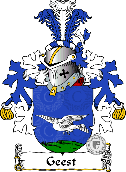 Wappen der Familie Geest   ref: 38236