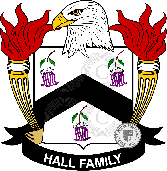 Brasão da família Hall   ref: 39510