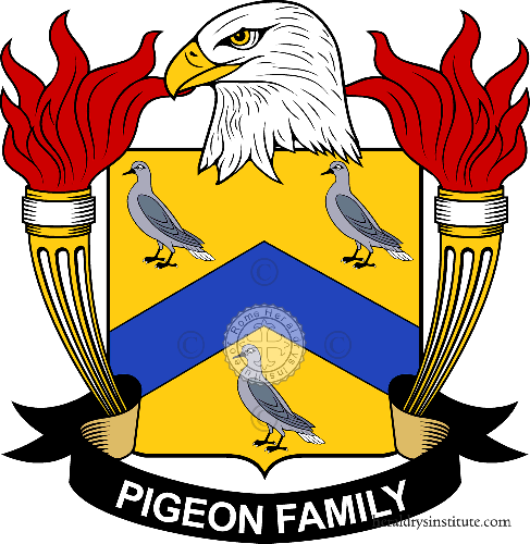 Brasão da família Pigeon