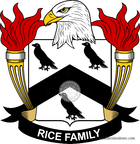 Brasão da família Rice