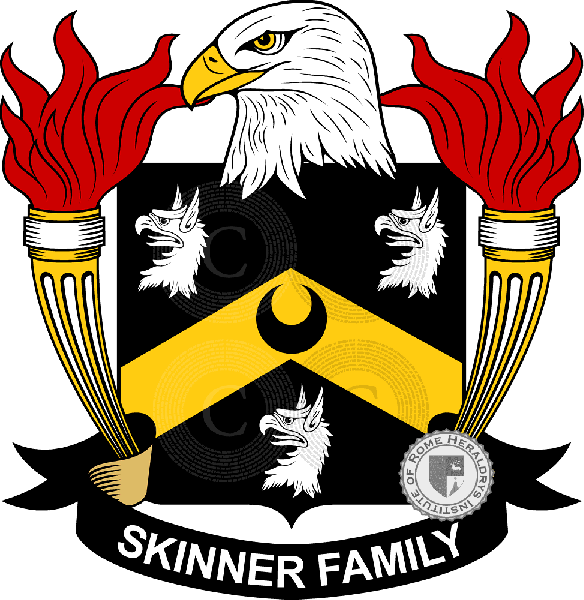 Brasão da família Skinner