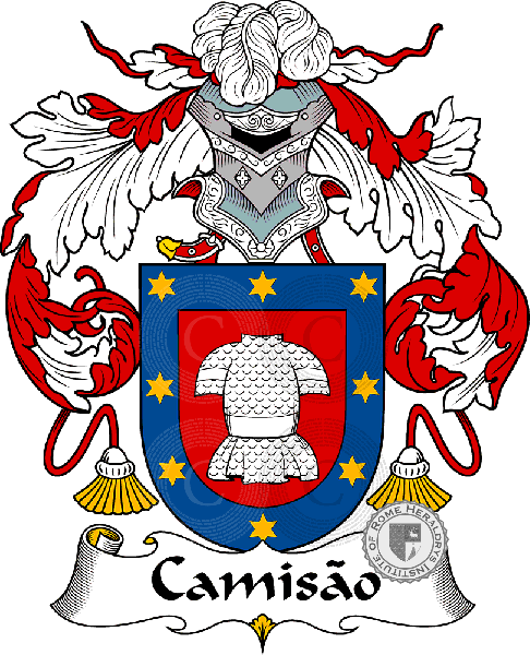 Coat of arms of family Camisão