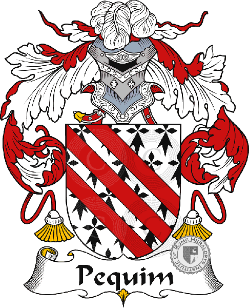 Coat of arms of family Pequim