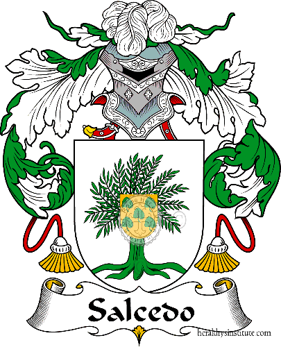 Coat of arms of family Salcedo
