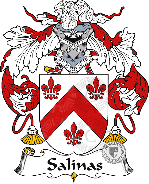 Wappen der Familie Salinas
