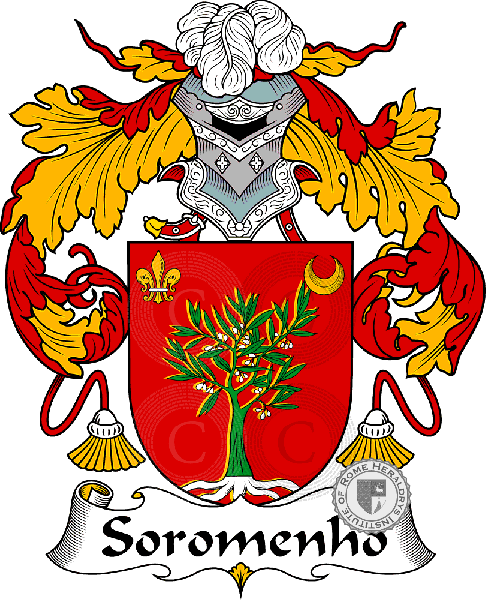 Coat of arms of family Soromenho