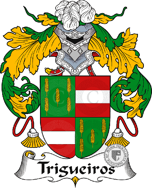 Coat of arms of family Trigueiros