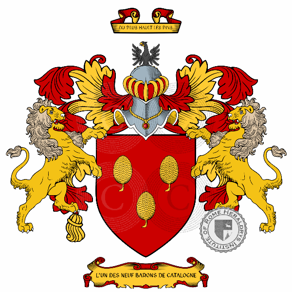 Coat of arms of family Pins