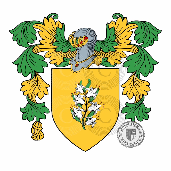 Coat of arms of family Bonasi