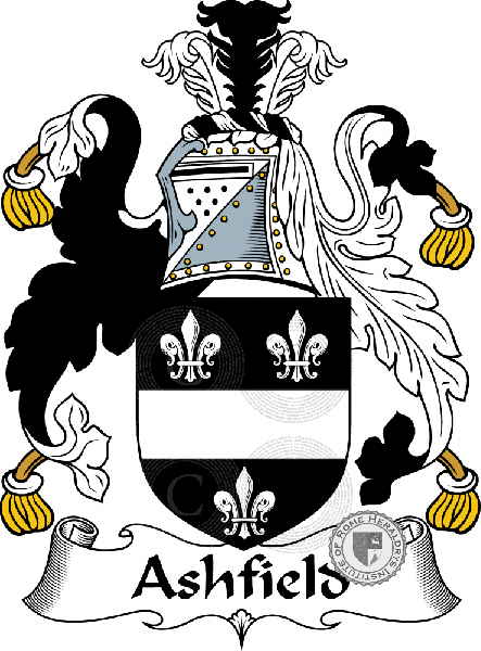 Wappen der Familie Ashfield   ref: 53951