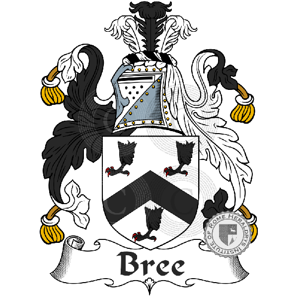 Brasão da família Bree, Bray