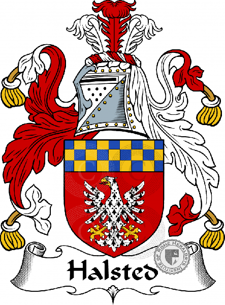 Wappen der Familie Halsted   ref: 54999