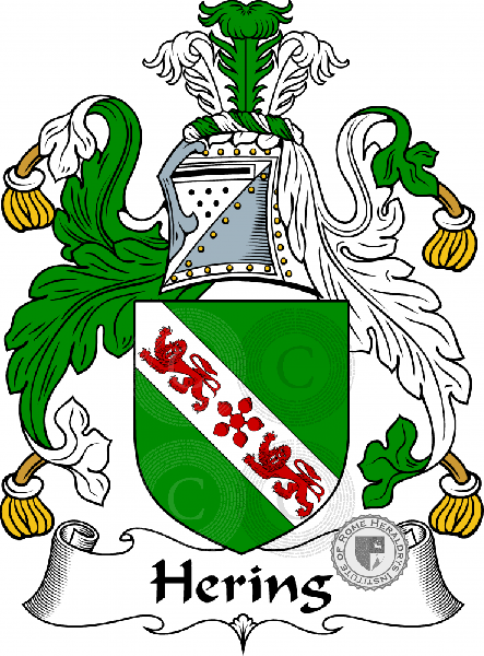 Wappen der Familie Hering   ref: 55105